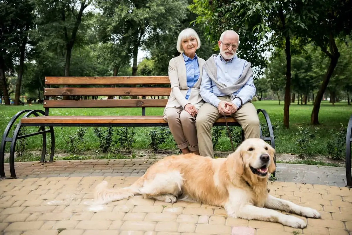 pets-for-seniors