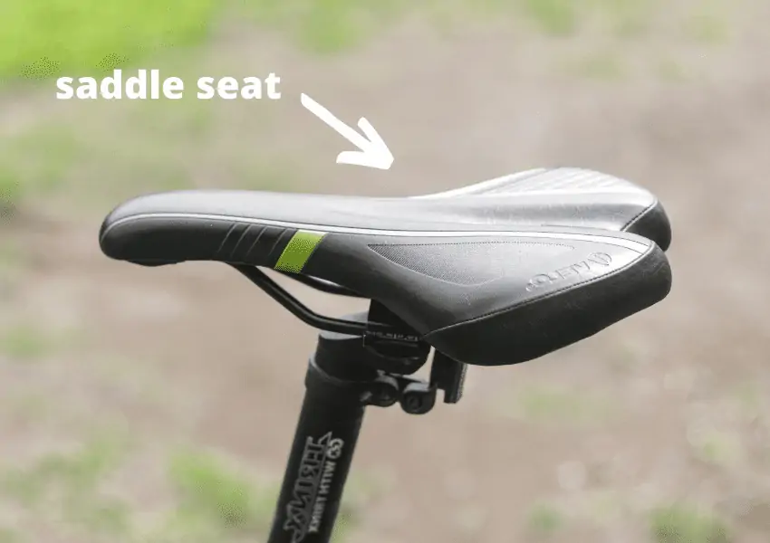 saddle seat